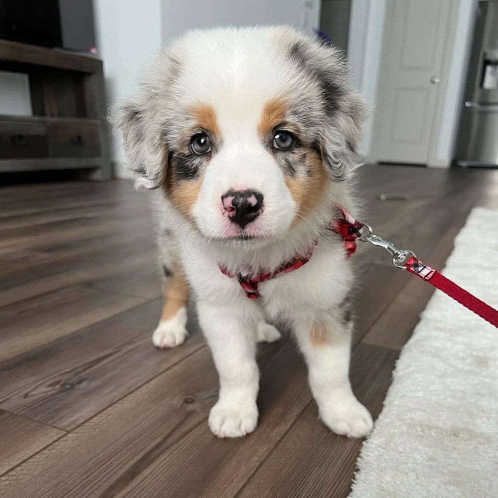 Ben